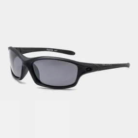 Daytona Polarised Sunglasses