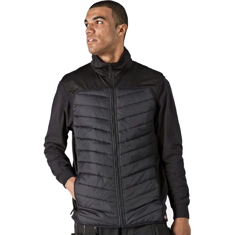 Dickies Mens Gen Hybrid Workwear Bodywarmer Gilet