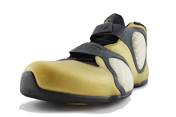 Nike Flightposite 3 Gold