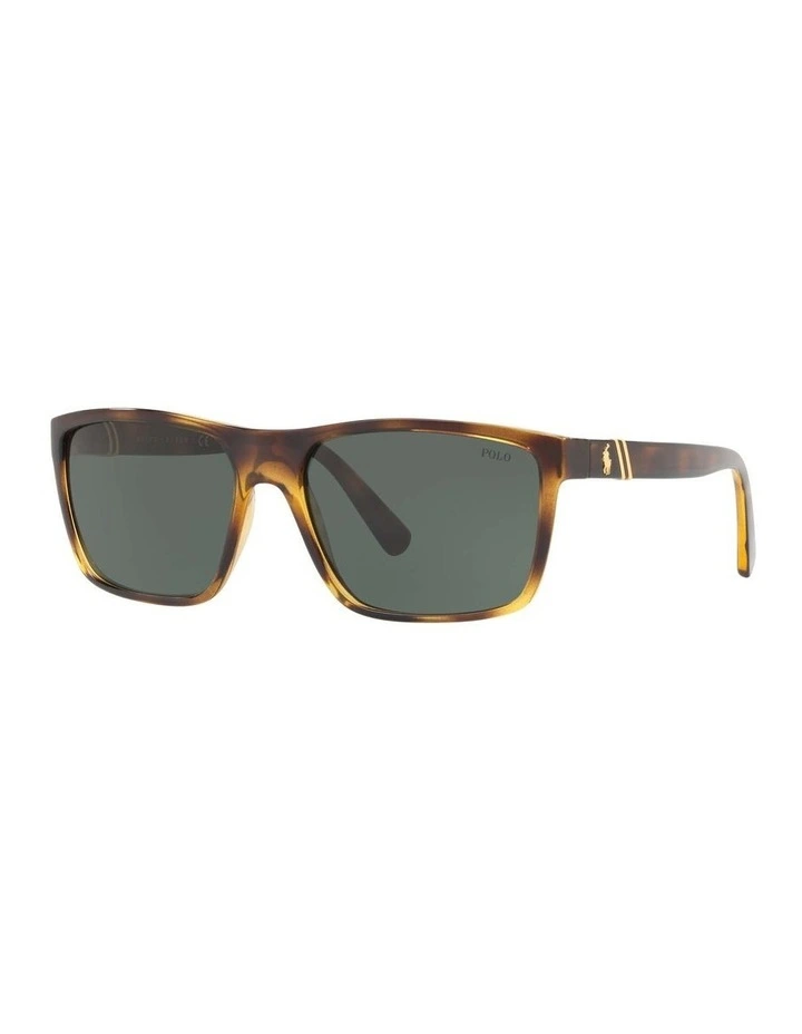 PH4133 Tortoise Sunglasses