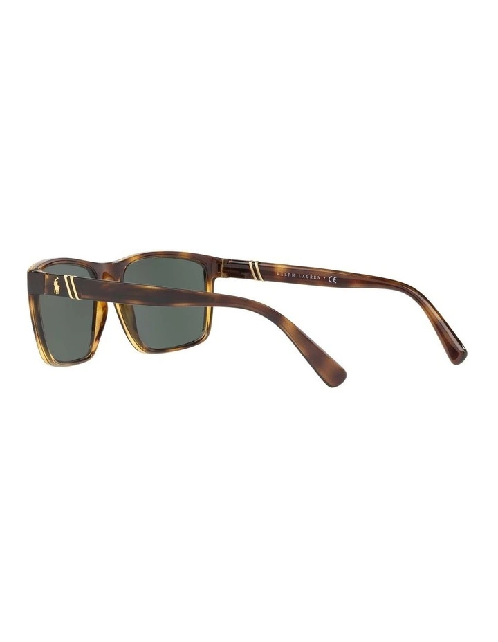 PH4133 Tortoise Sunglasses