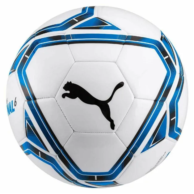 Puma Team Final 21.6 Trainer Ball