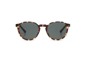 Tortoise Liam Sunglasses